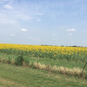 Meet your Posher, Stacy